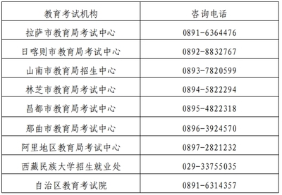 2024上半年西藏教資面試報(bào)名即將啟動 關(guān)鍵時(shí)間與備考指南
