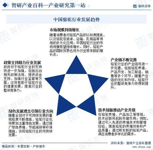中國(guó)駱駝行業(yè)投資前景分析及未來發(fā)展趨勢(shì)研究報(bào)告
