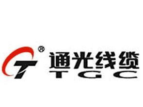 通光線纜子公司2220萬元布局印度 合資公司設(shè)立的商機(jī)與投資指南